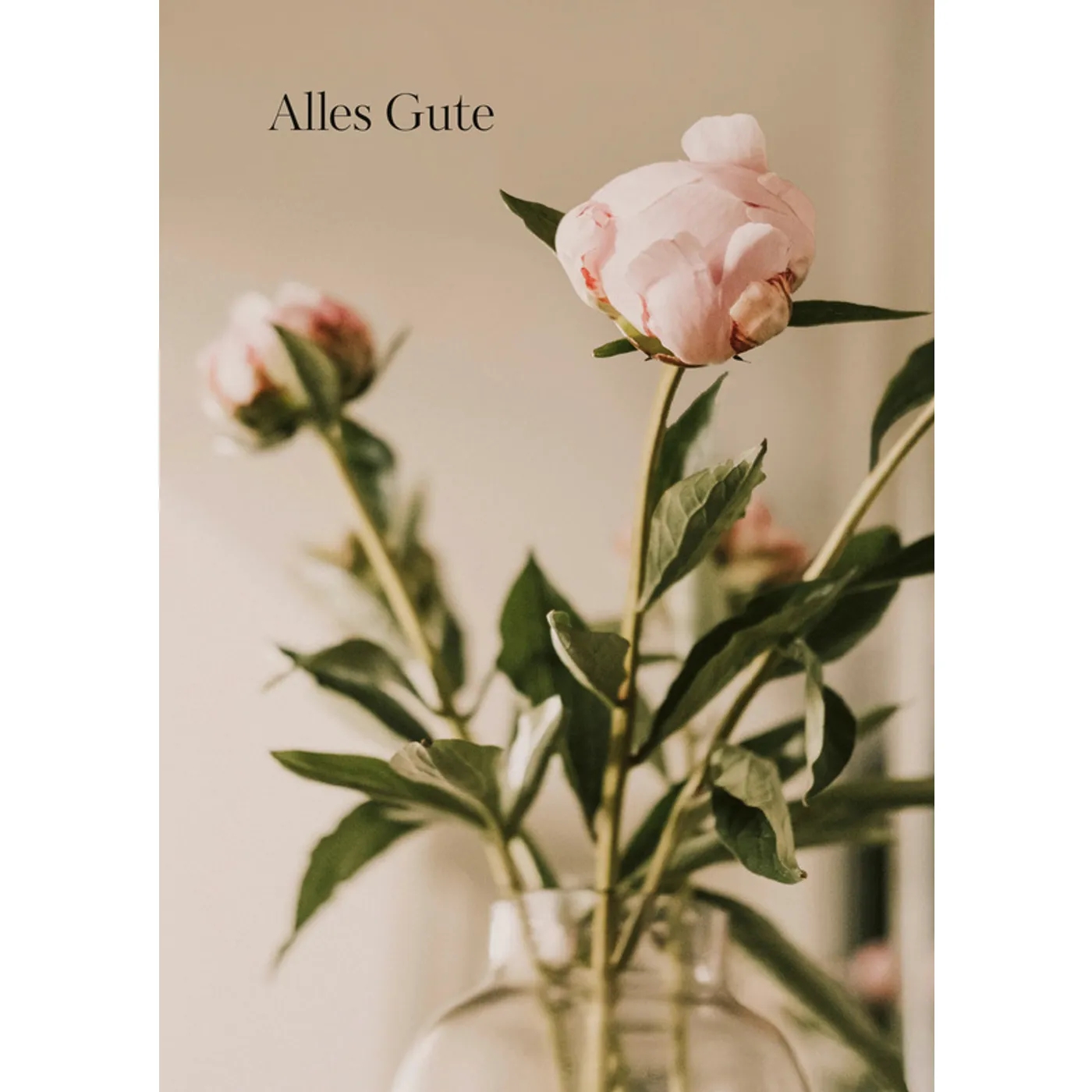 Postkarten - Kleine Grüße, große Freude