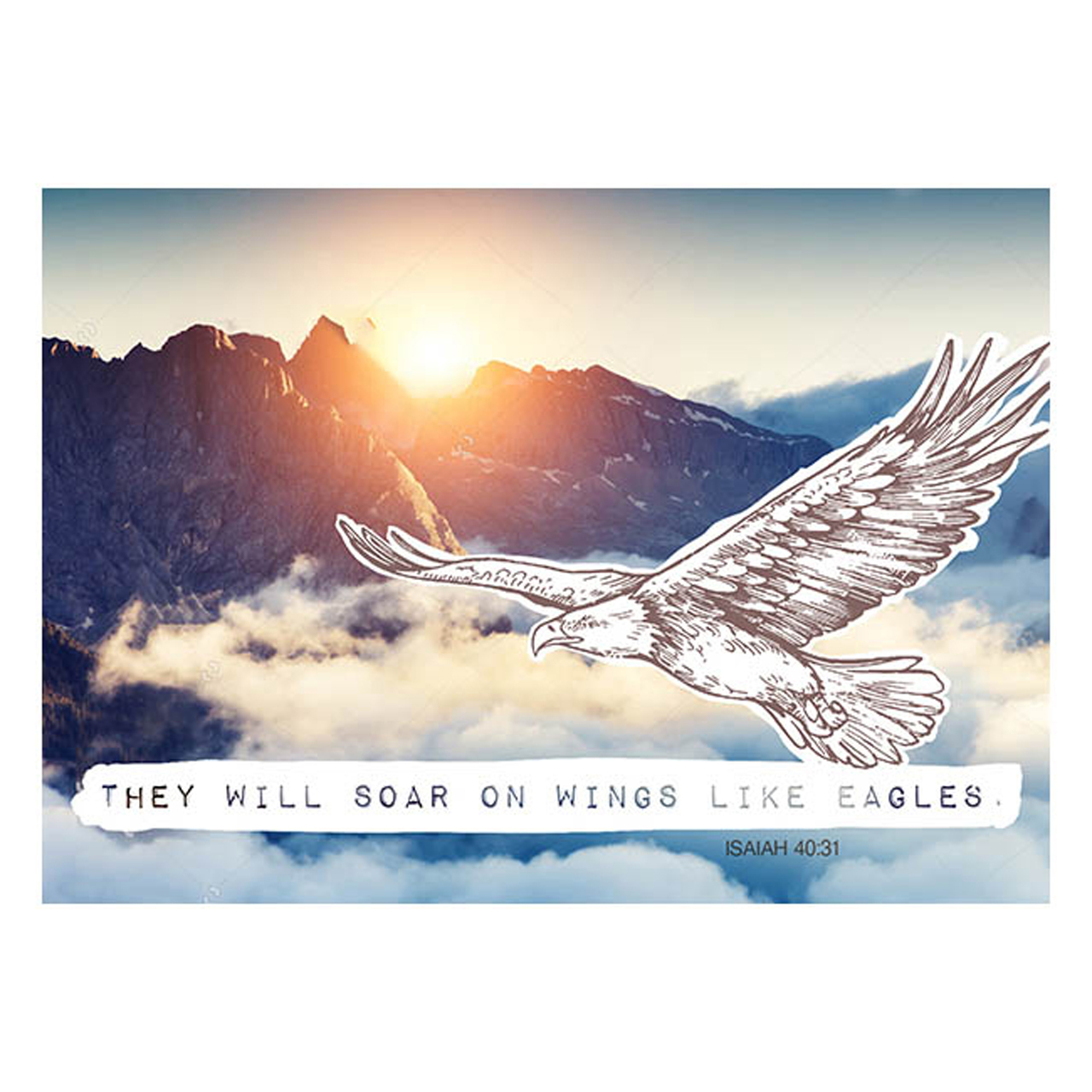 Postkarte - Postkarte 'Eagle'  1EX - Berge Sonne Wolken Adler Vogel