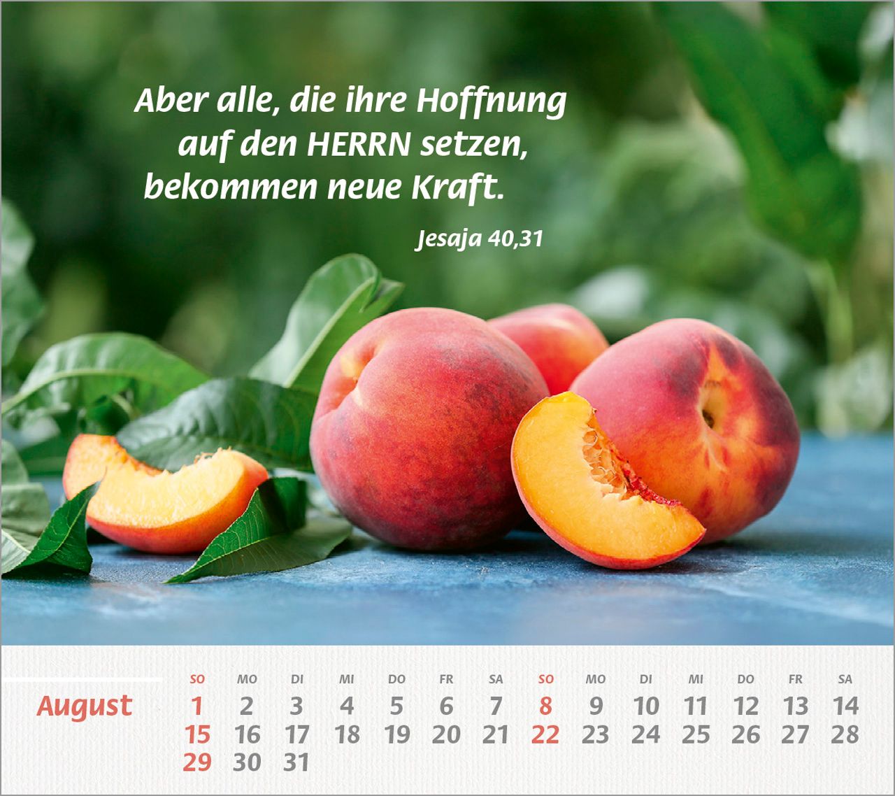 Tischkalender - Du bist meine Stärke 2027