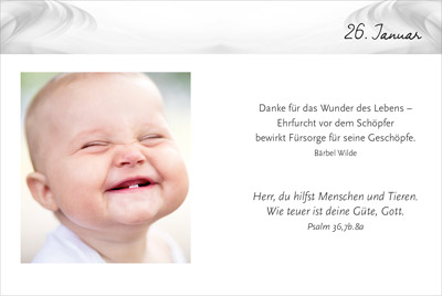 Geschenkbuch - 366 gute Gedanken - Blüten am Ast