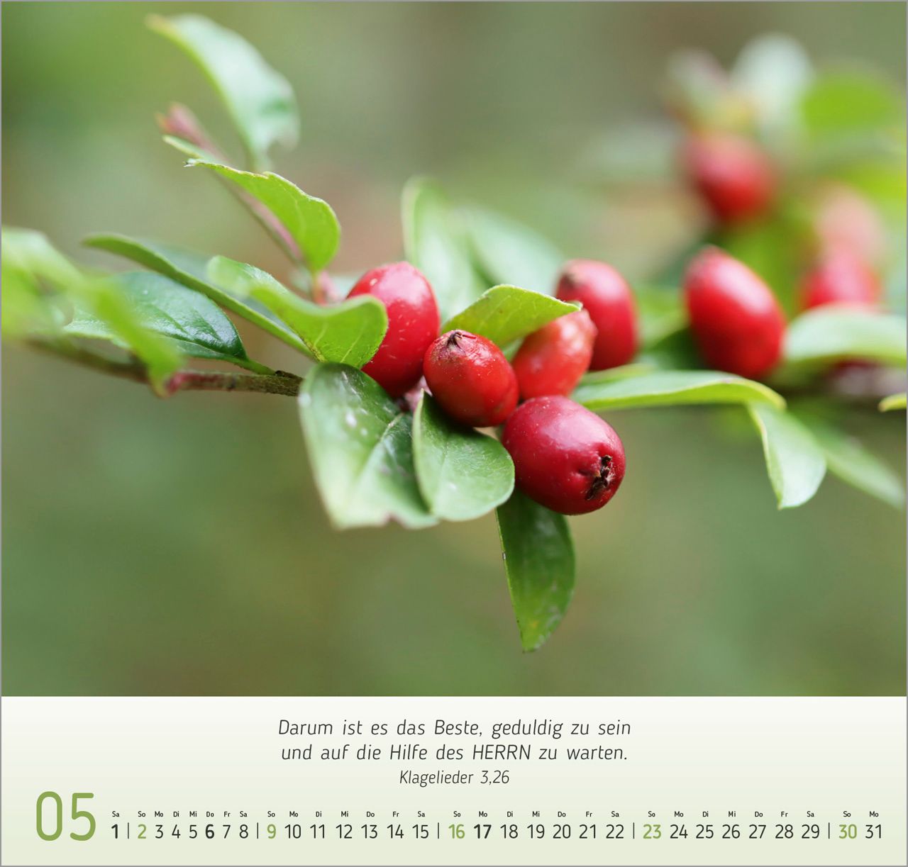 Wandkalender - Gesichter der Natur 2027