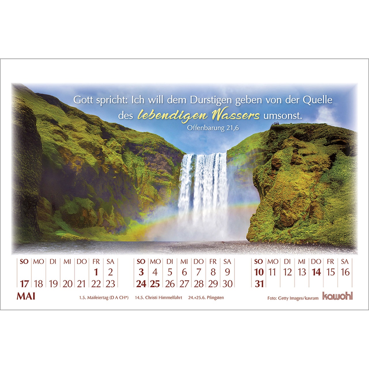 Tischkalender - In seinem Licht 2026