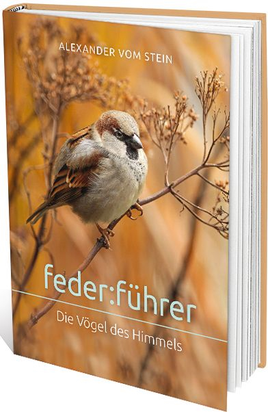 feder:führer [1]