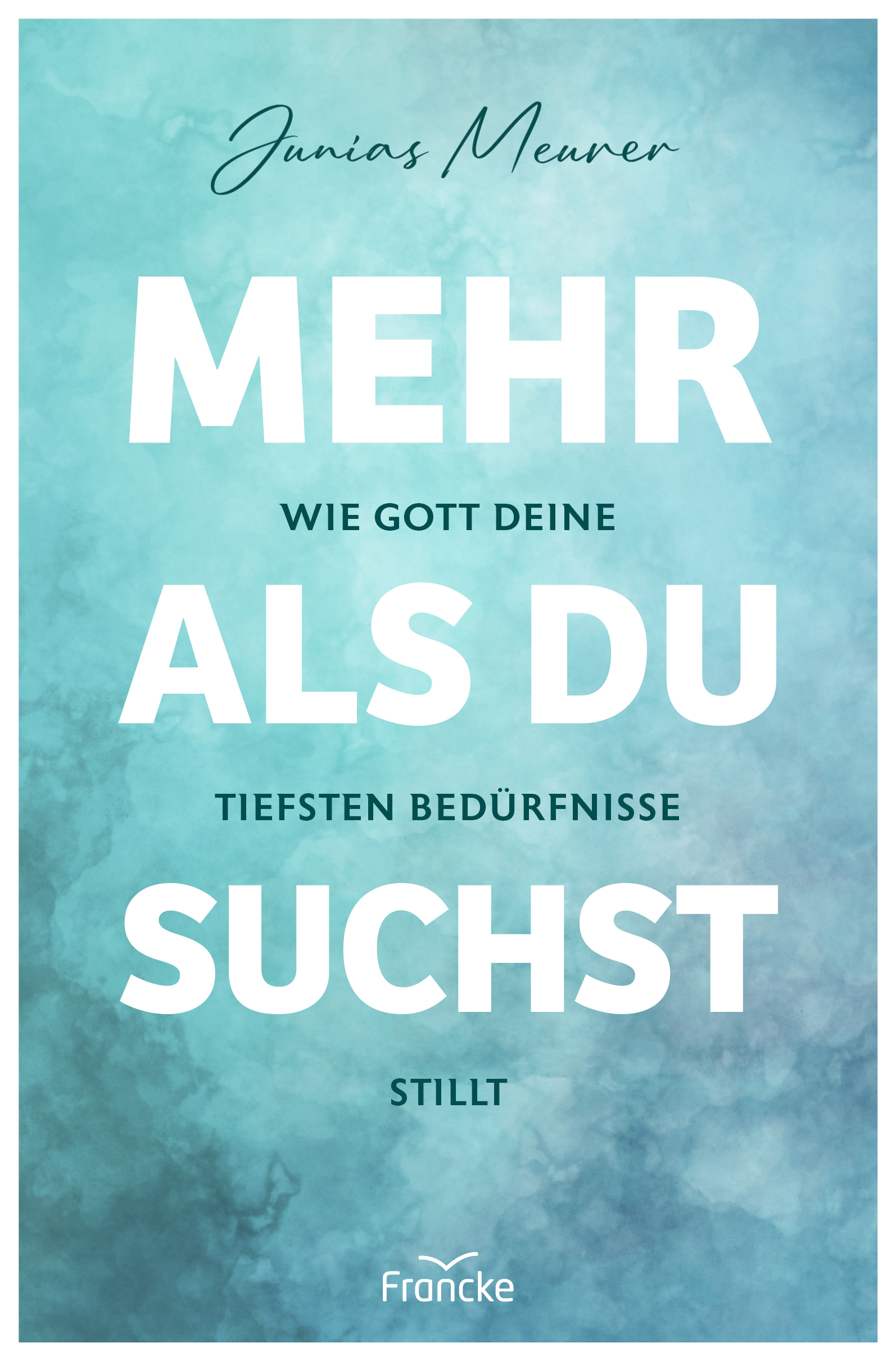 Buch - Mehr als du suchst