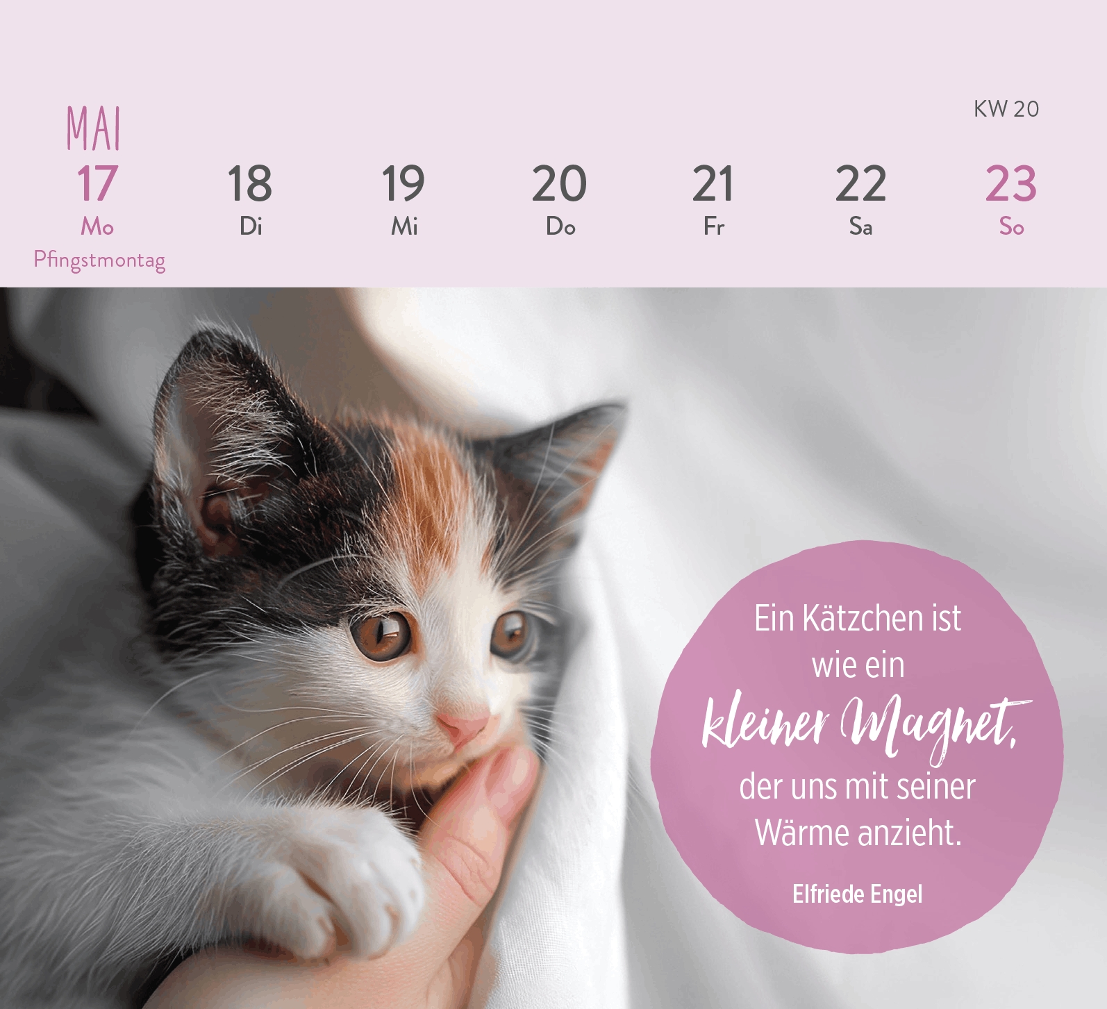 Aufstellkalender - Für Katzenfreunde 2027