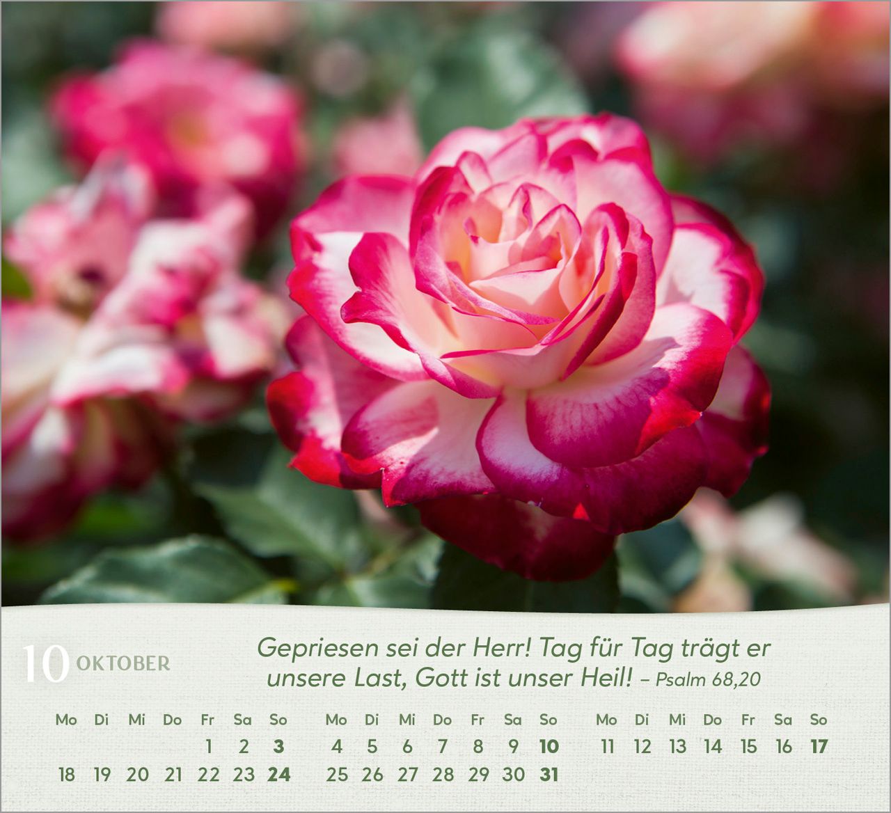 Tischkalender - Rosen 2027