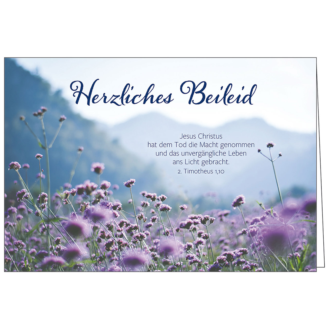 Herzliches Beileid Faltkarte - Herzliches Beileid - Eisenkraut Berge