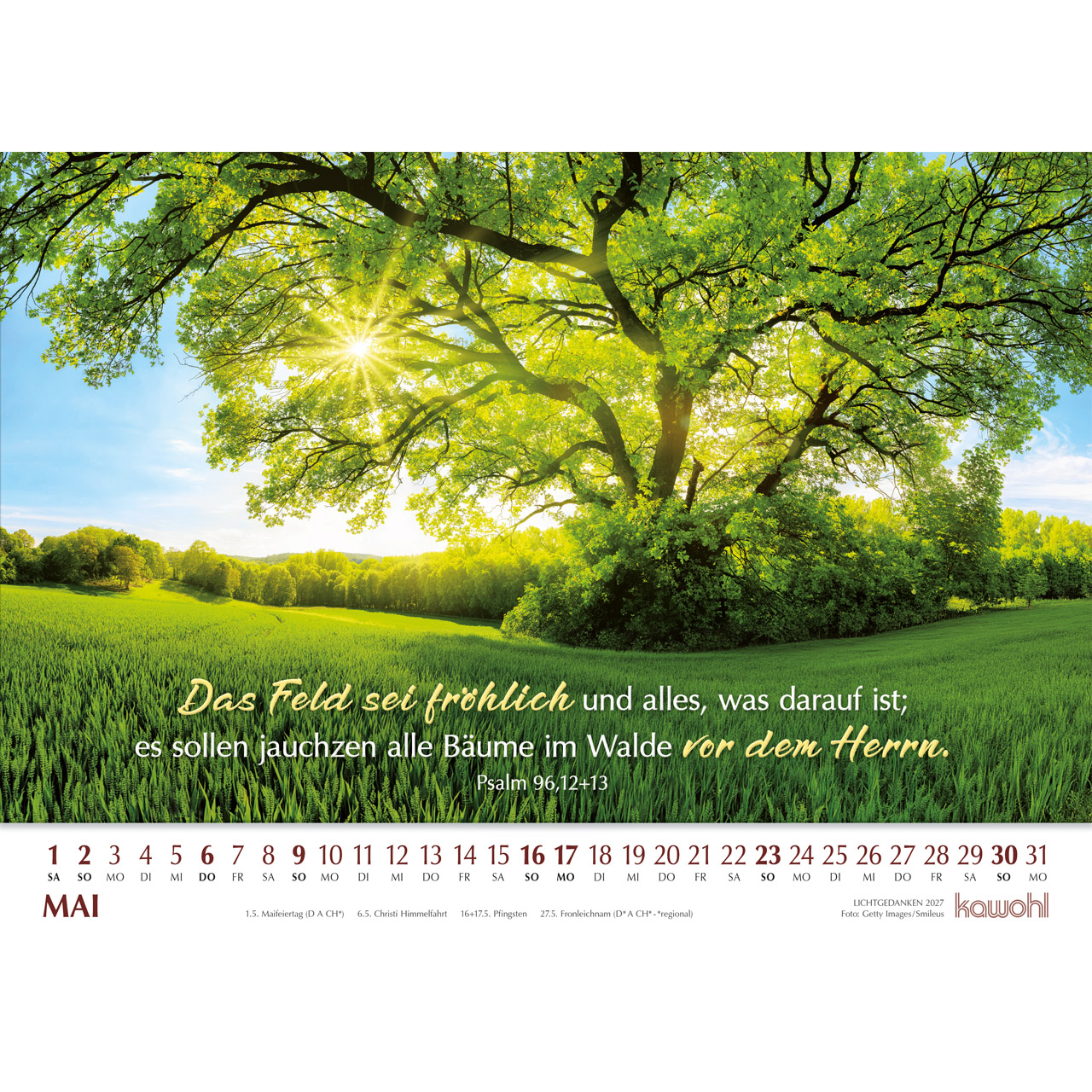 Wandkalender - Lichtgedanken 2027