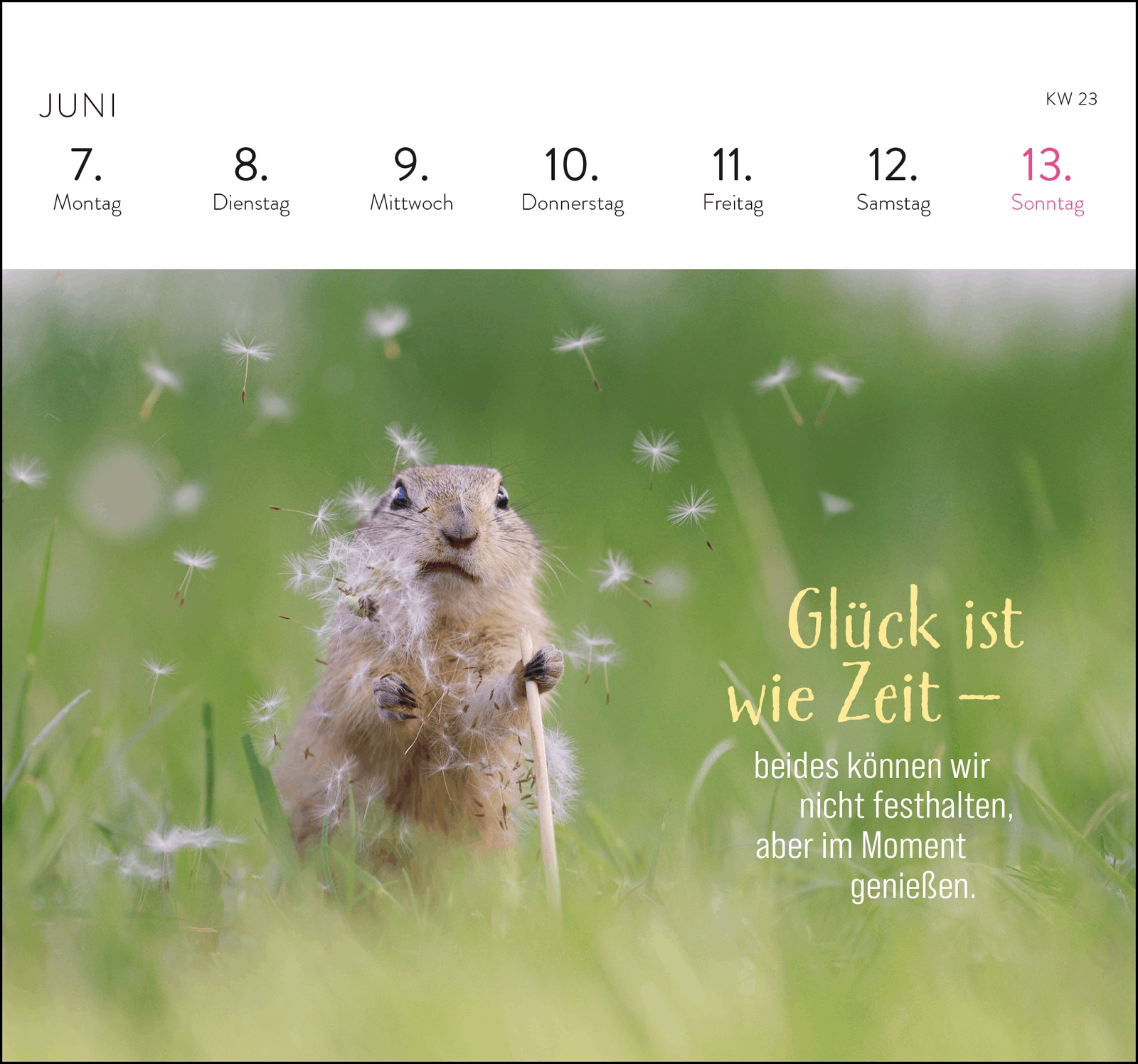 Postkartenkalender - Kleine Glücksbringer für dein Jahr 2027