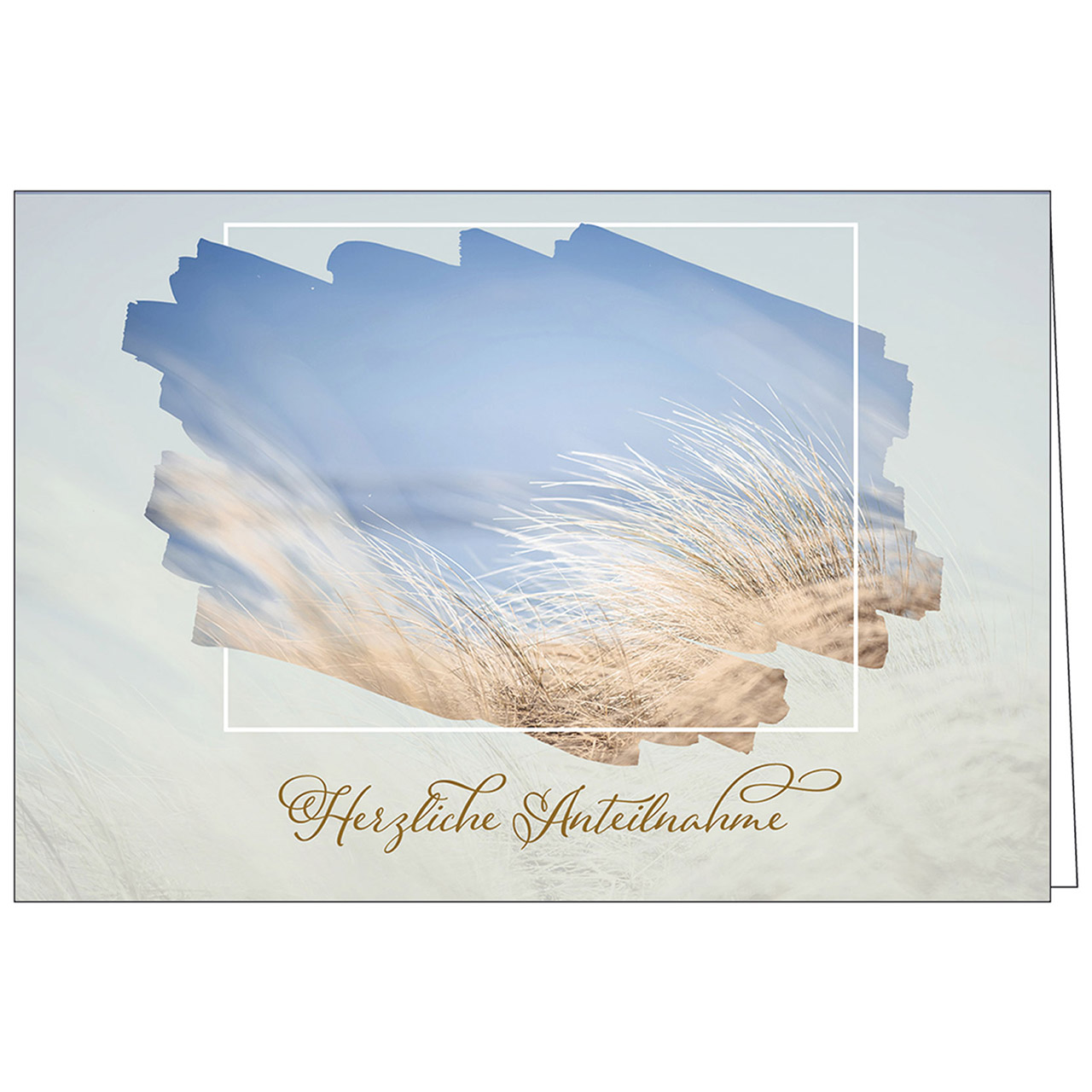 Herzlichen Anteilnahme Faltkarte - Herzlichen Anteilnahme - Gras im Wind