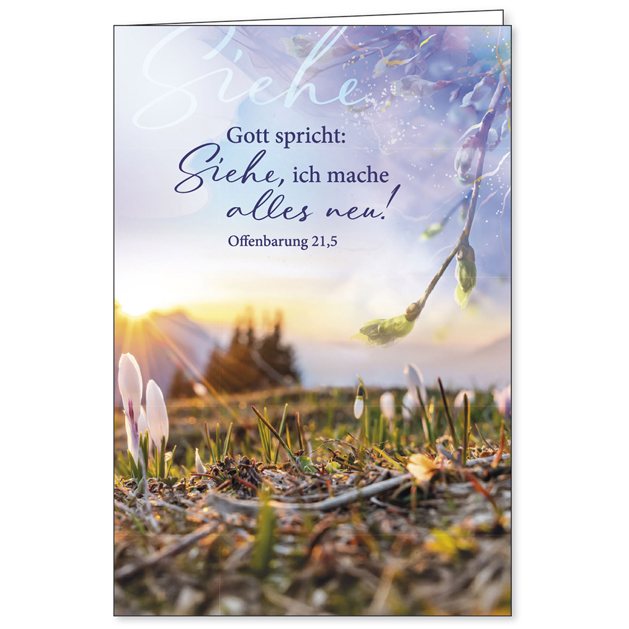 Gott spricht: Siehe, ich mache alles neu! Faltkarte - Gott spricht: Siehe, ich mache alles neu!