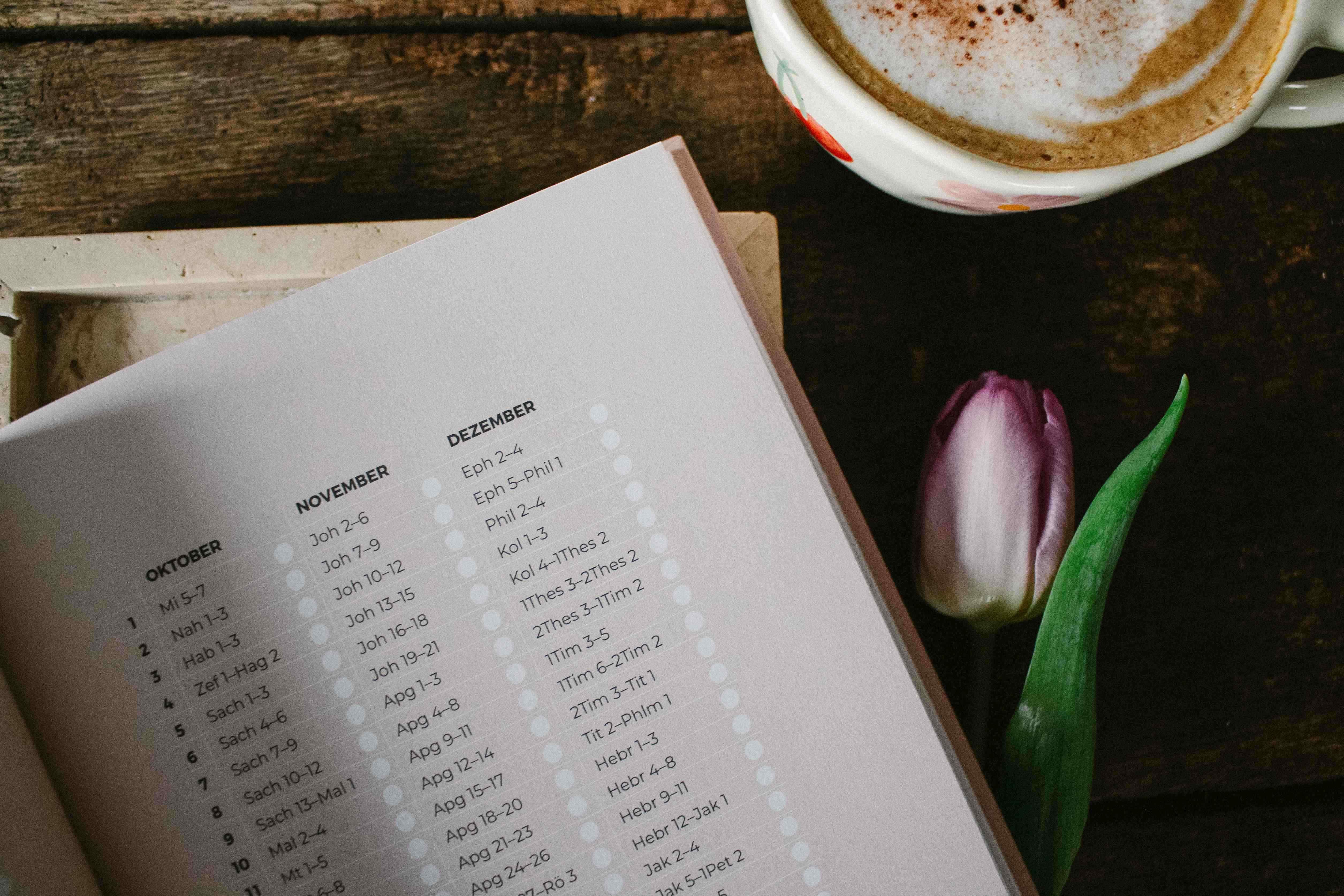 Geschenkbuch - Blühende Worte - Dein Bibellese-Journal