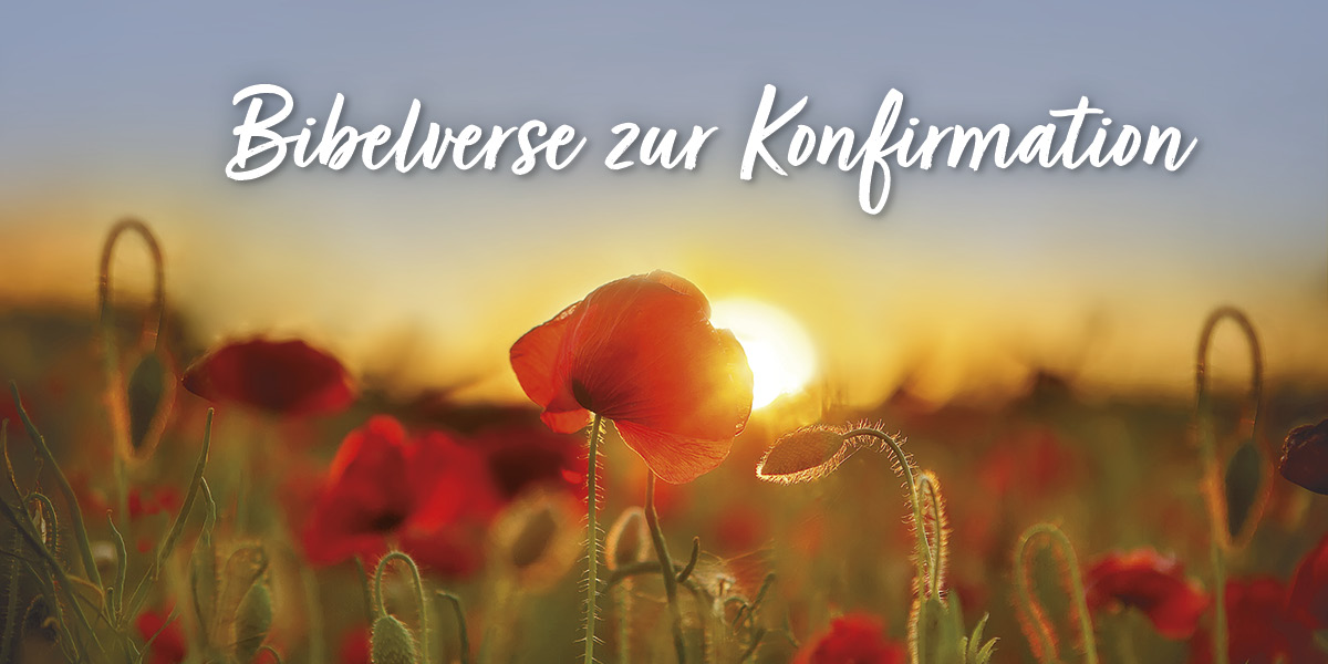 Bibelverse zur Konfirmation