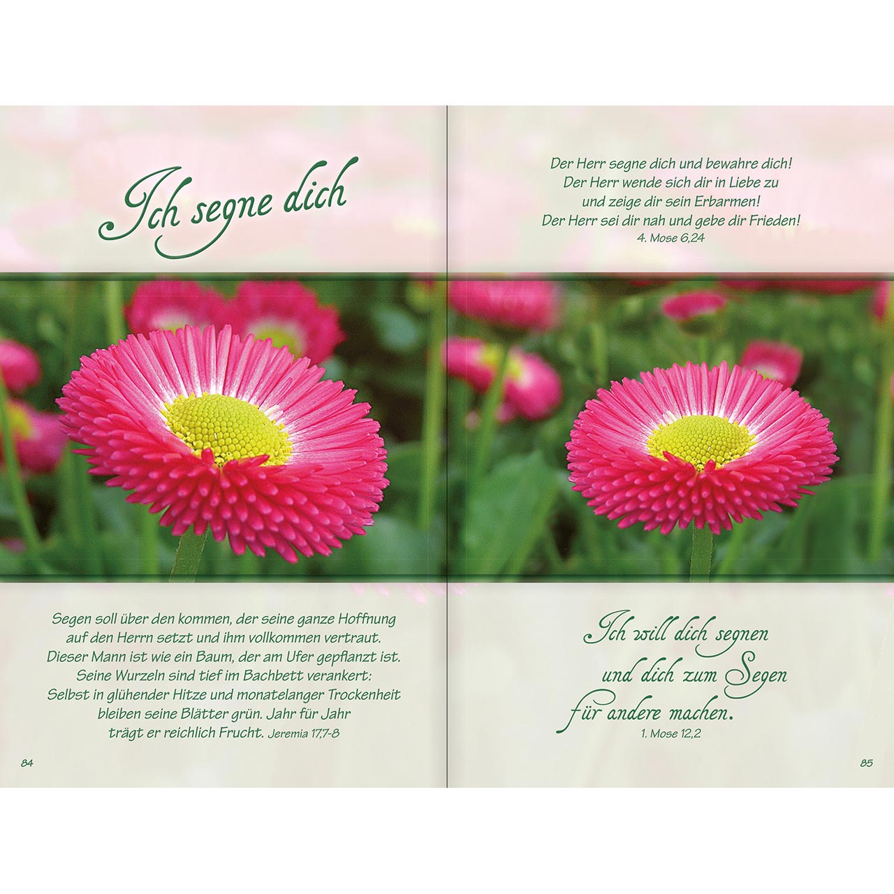 Geschenkbuch - Ich bin da, dir ganz nah - rosa Blumen