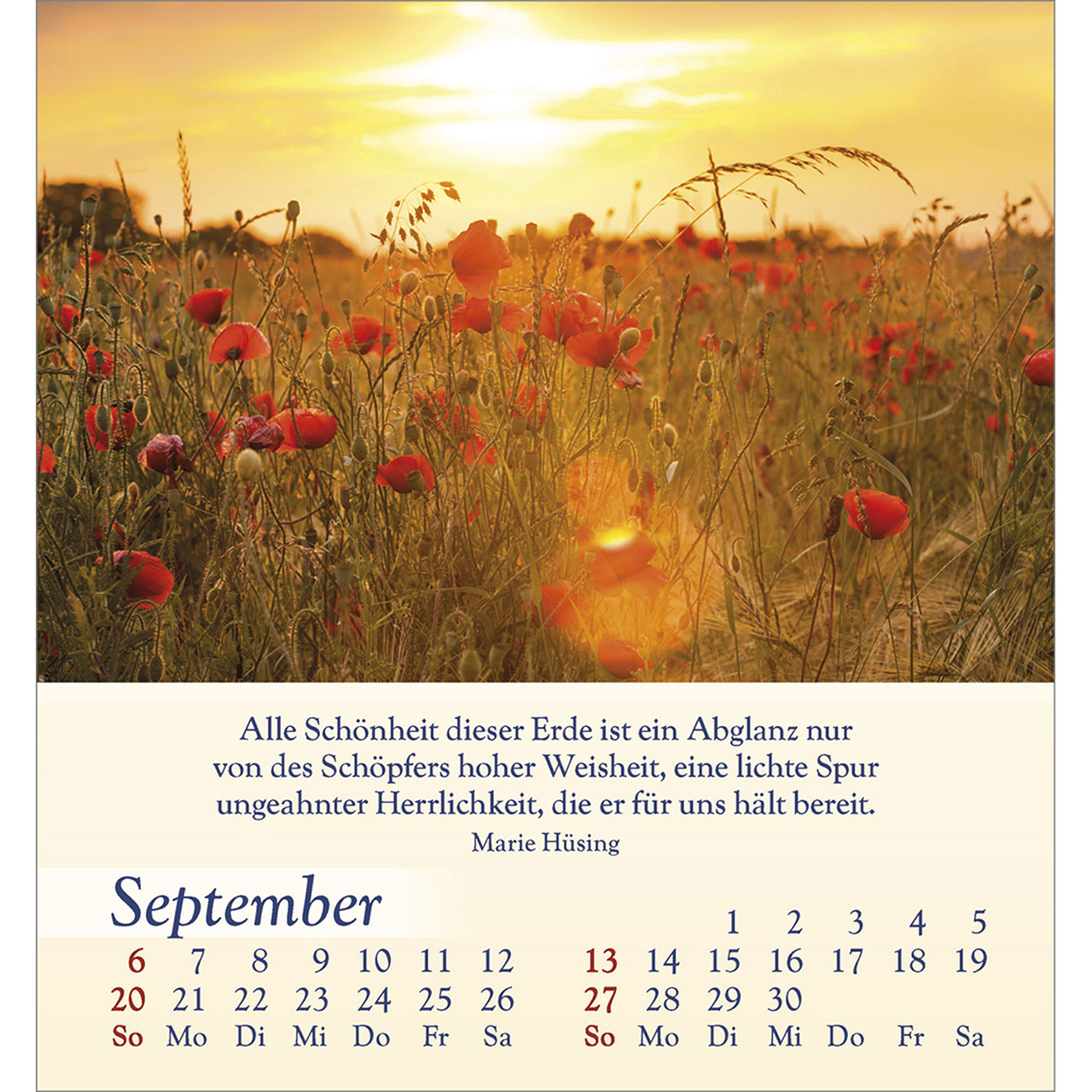 Tischkalender - Licht für deine Seele 2026