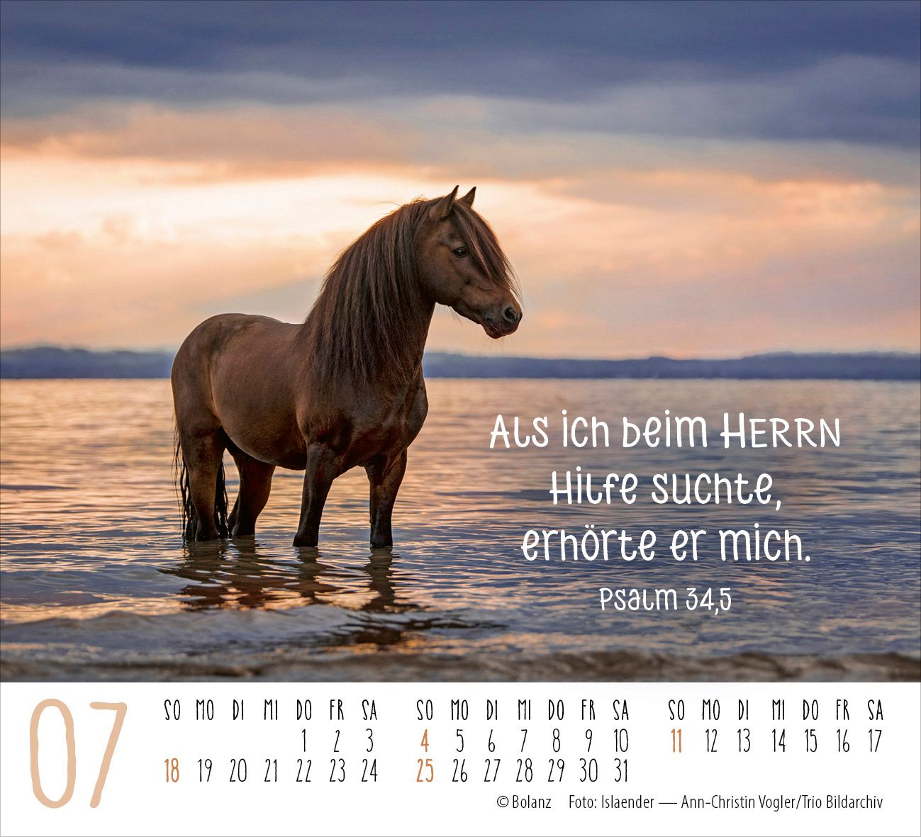 Aufstellkalender - Pferde 2027