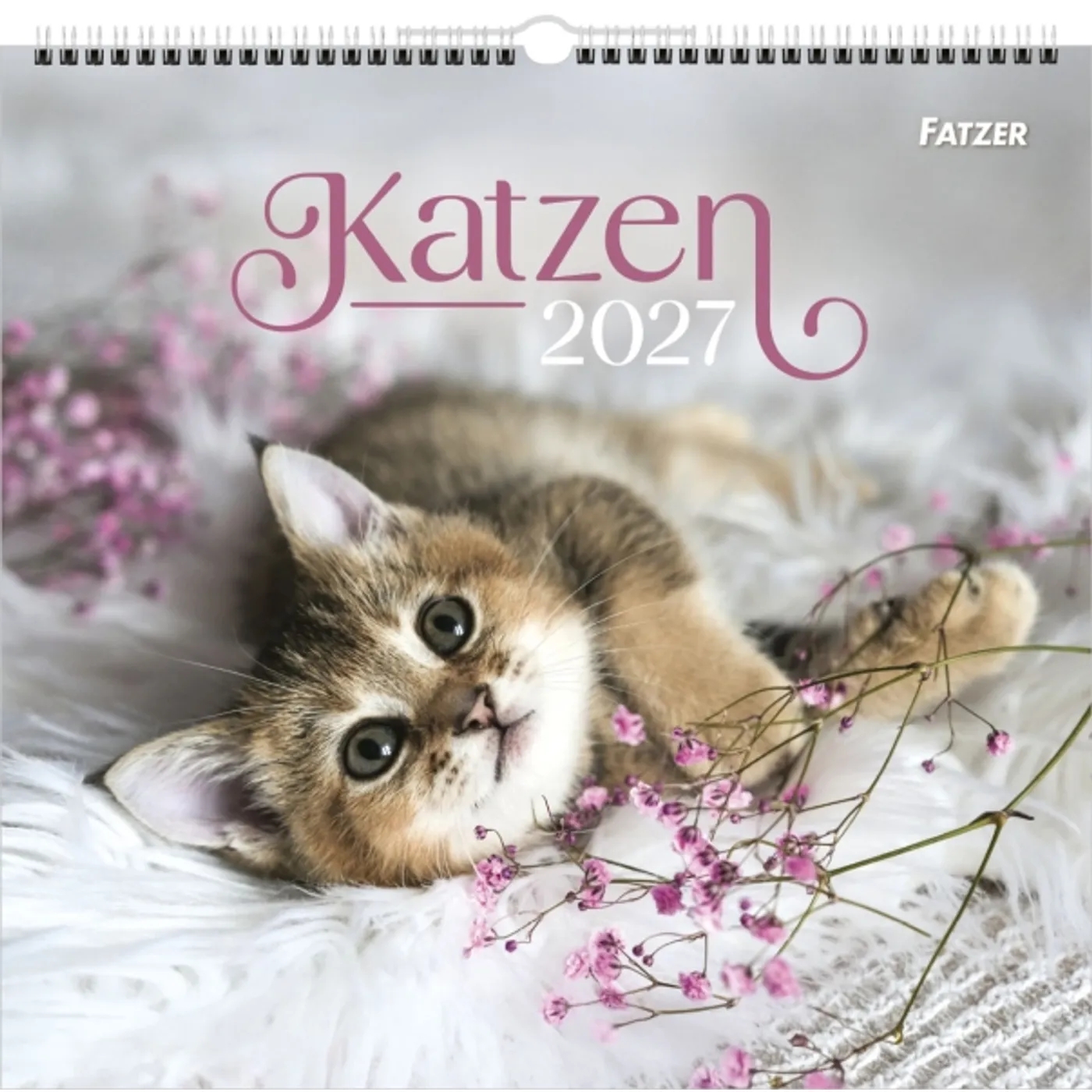 Wandkalender - Katzen 2027