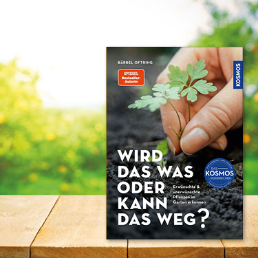 Buchtitel 'Wird das was oder kann das weg?' von Bärbel Oftring auf einem Tisch mit Orangenfeld im Hintergrund.