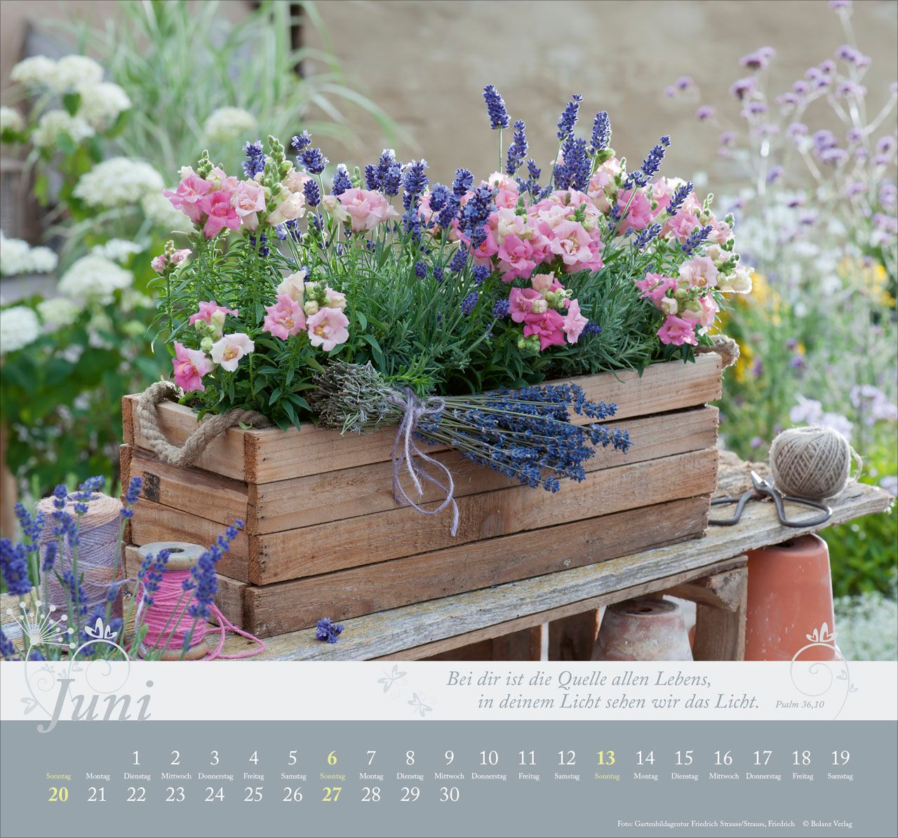 Wandkalender - Im Garten zuhause 2027 Wandkalender