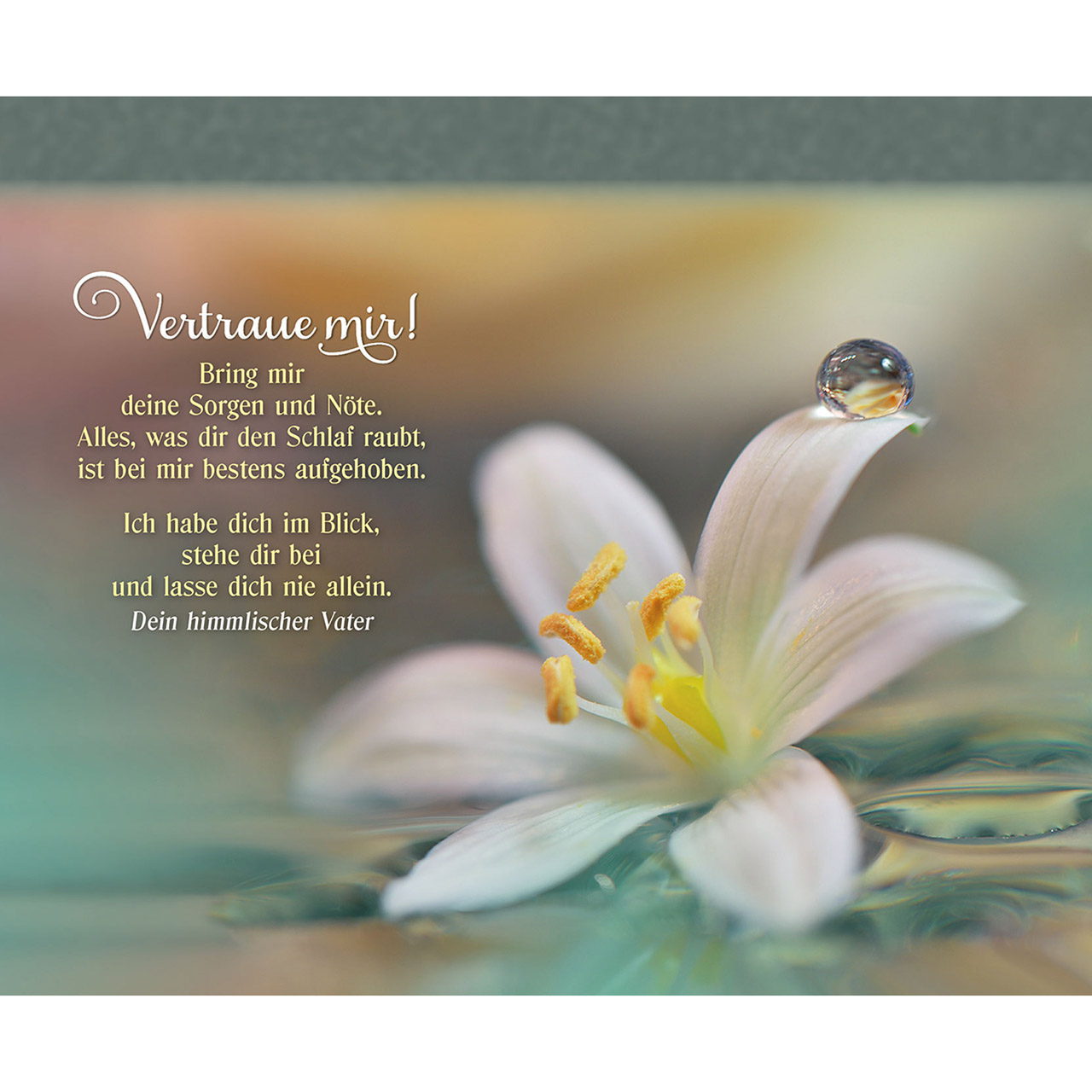 Aufstellbuch - Ich bin hier, nah bei dir! - Lavendel Stuhl Hut