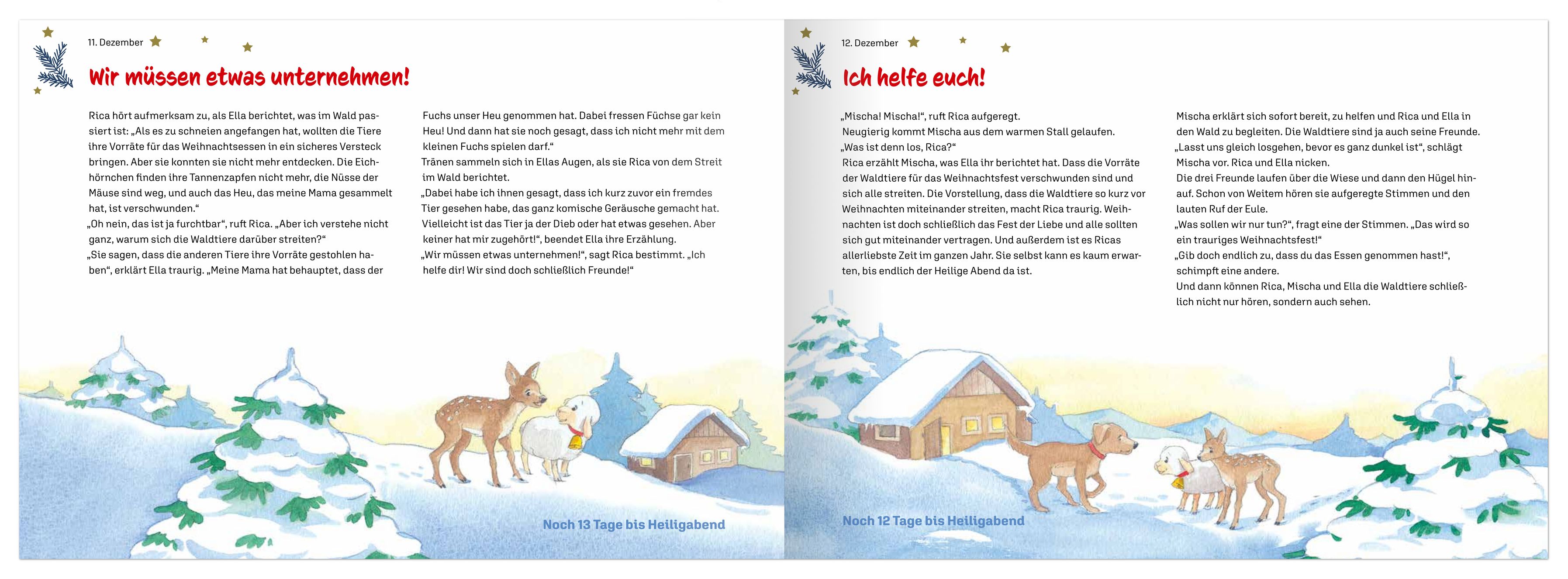 Adventskalender - Rica und der geheimnisvolle Stern