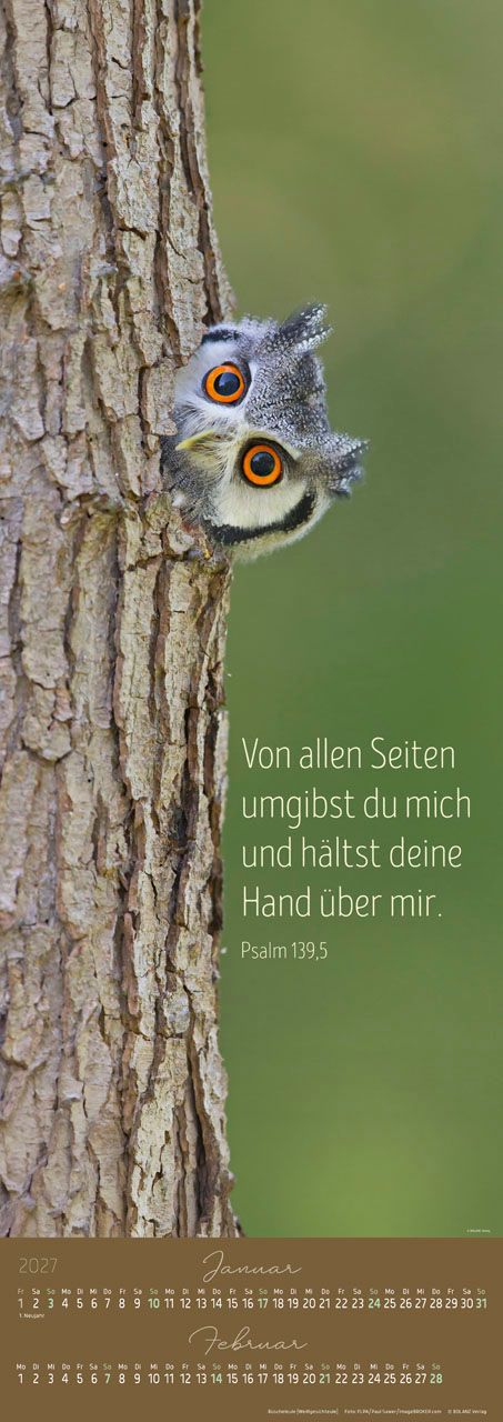 Posterkalender - Impressionen lebendiger Worte 2027 Posterkalender