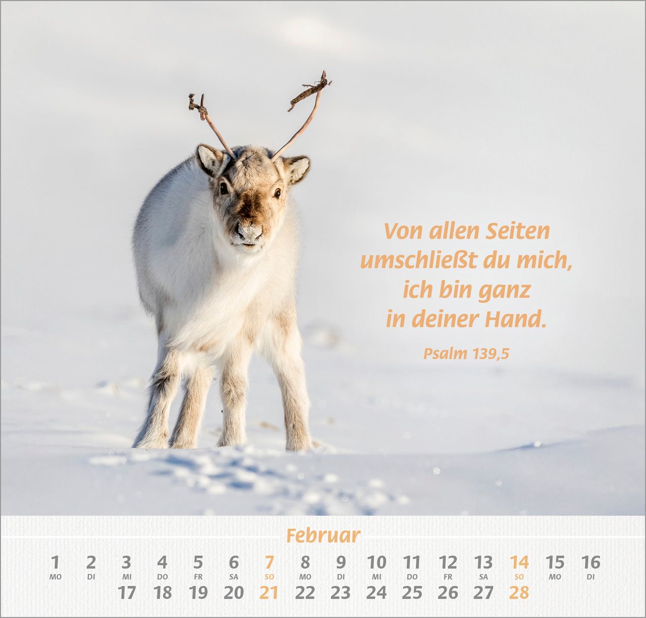 Wandkalender - Ich hab dich gern 2027 Wandkalender