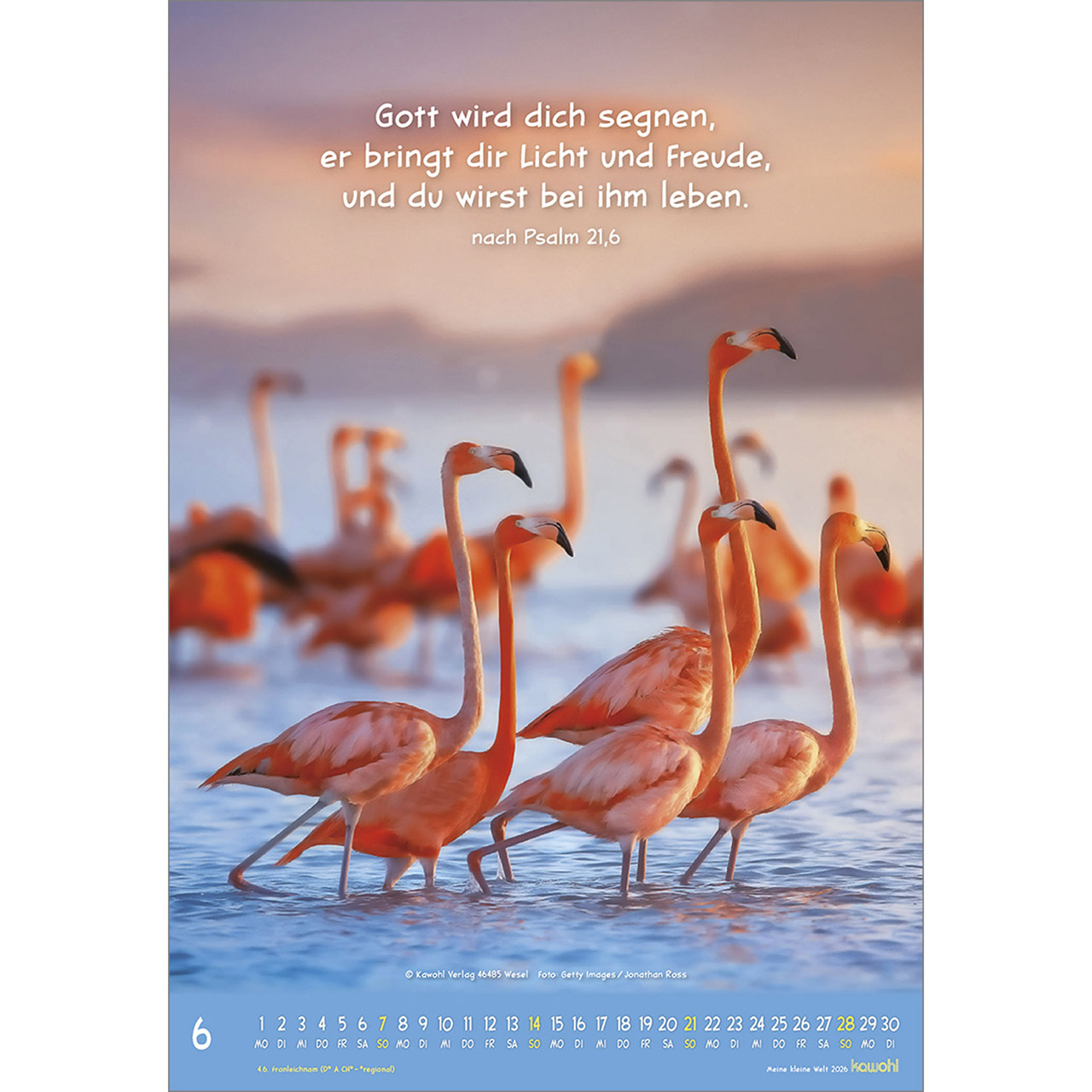 Wandkalender - Meine kleine Welt 2026