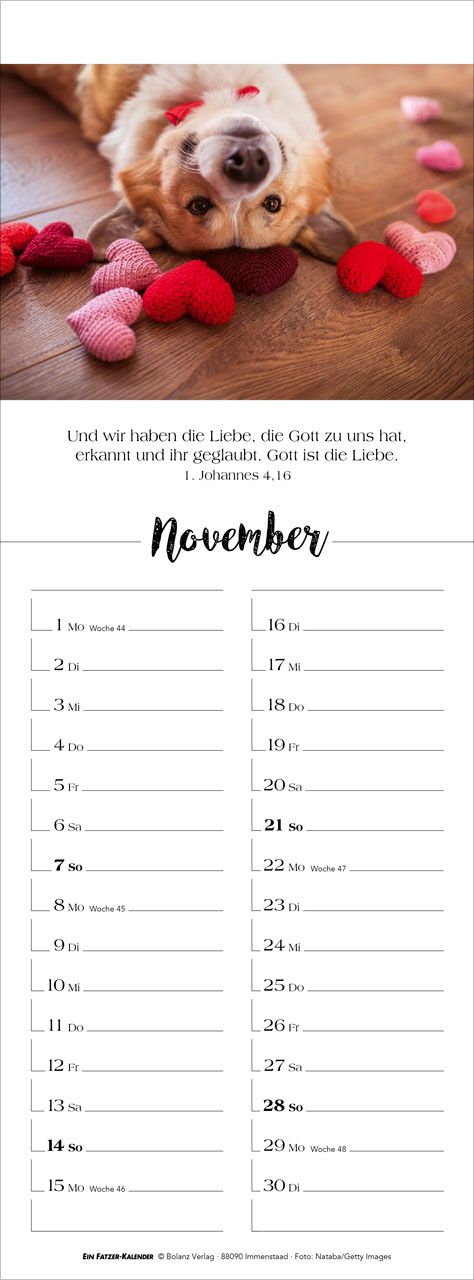 Terminkalender - Denk dran 2027