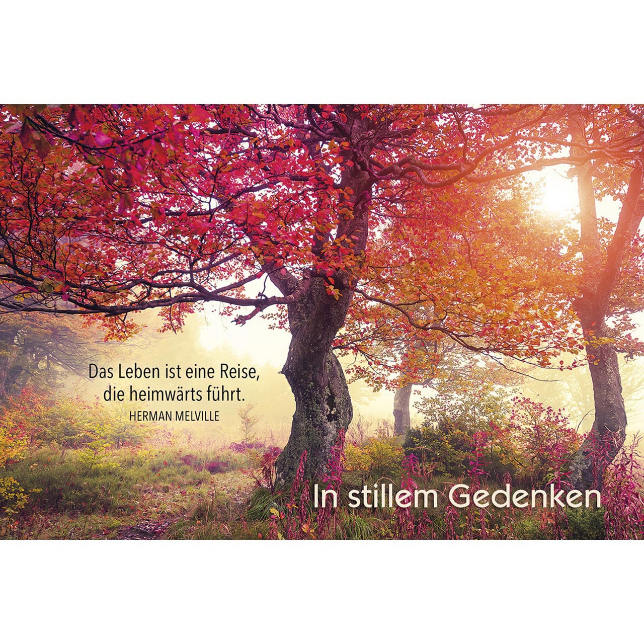 Das Leben ist eine Reise
