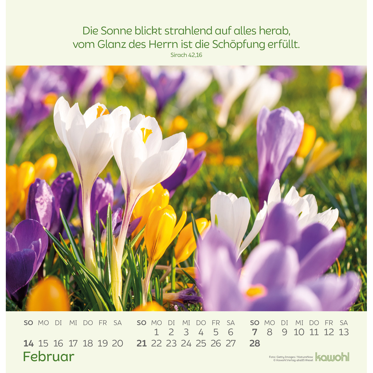 Wandkalender - Blumengrüße 2027