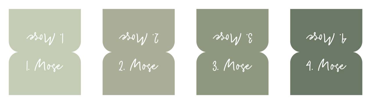 Bibel-Griffregister Salbeigrün Bibel-Zubehör - Bibel-Griffregister Salbeigrün - Griffregister