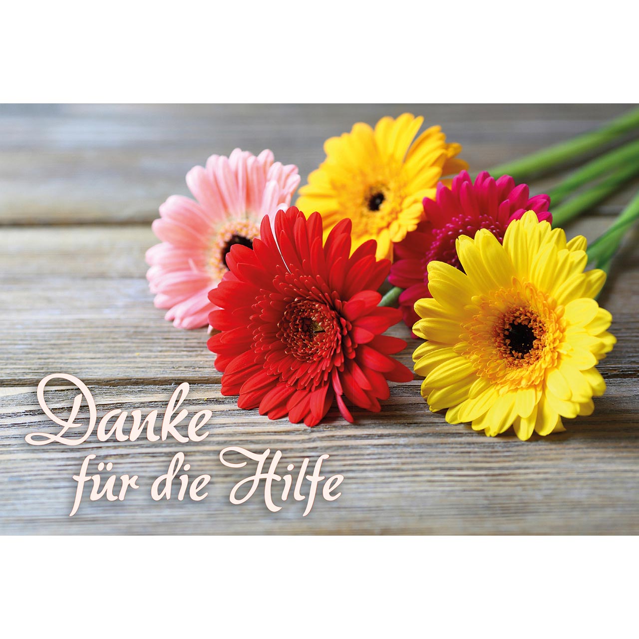 Danke für die Hilfe