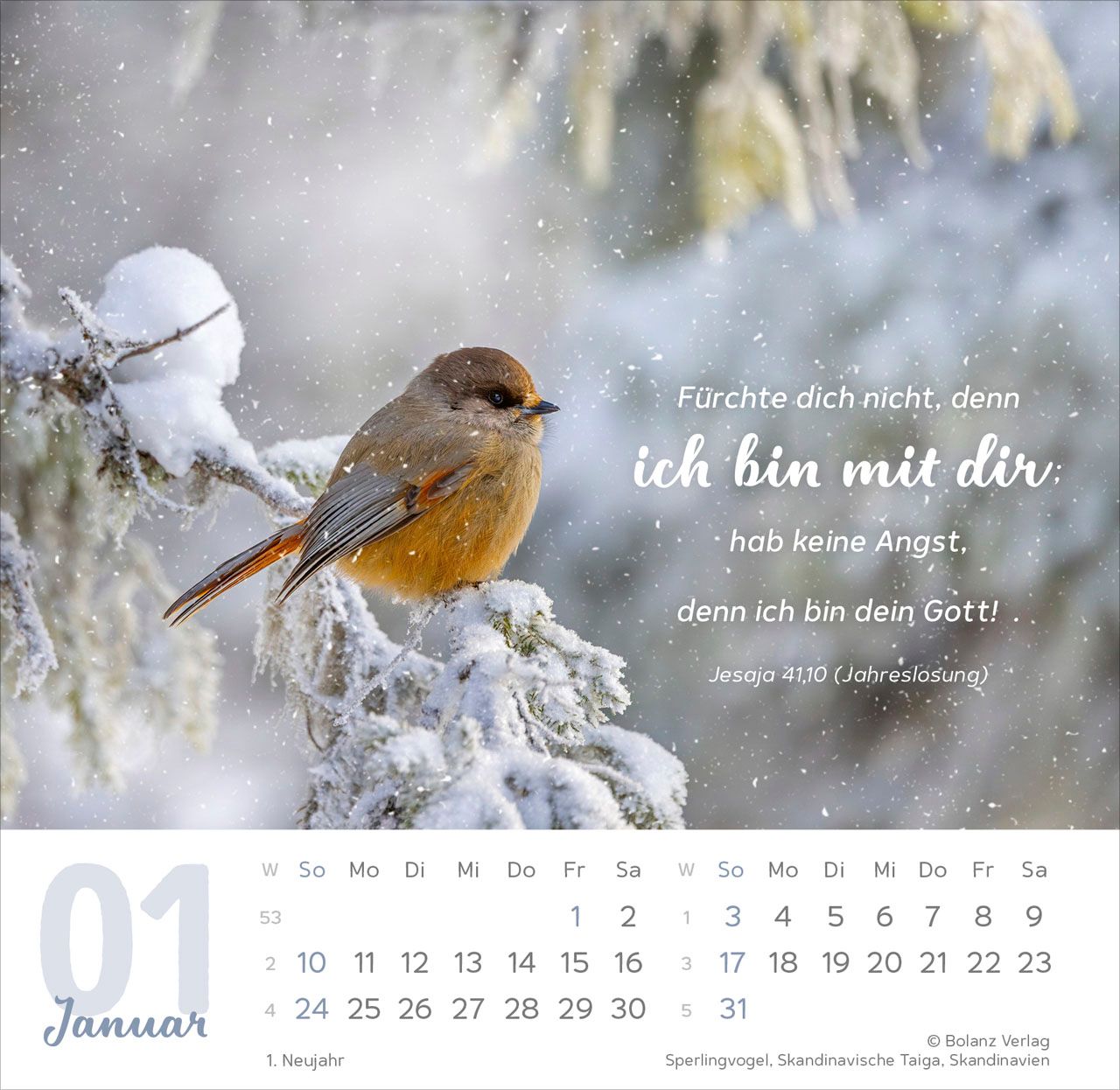 Tischkalender - Meine Zeit 2027 Tischkalender
