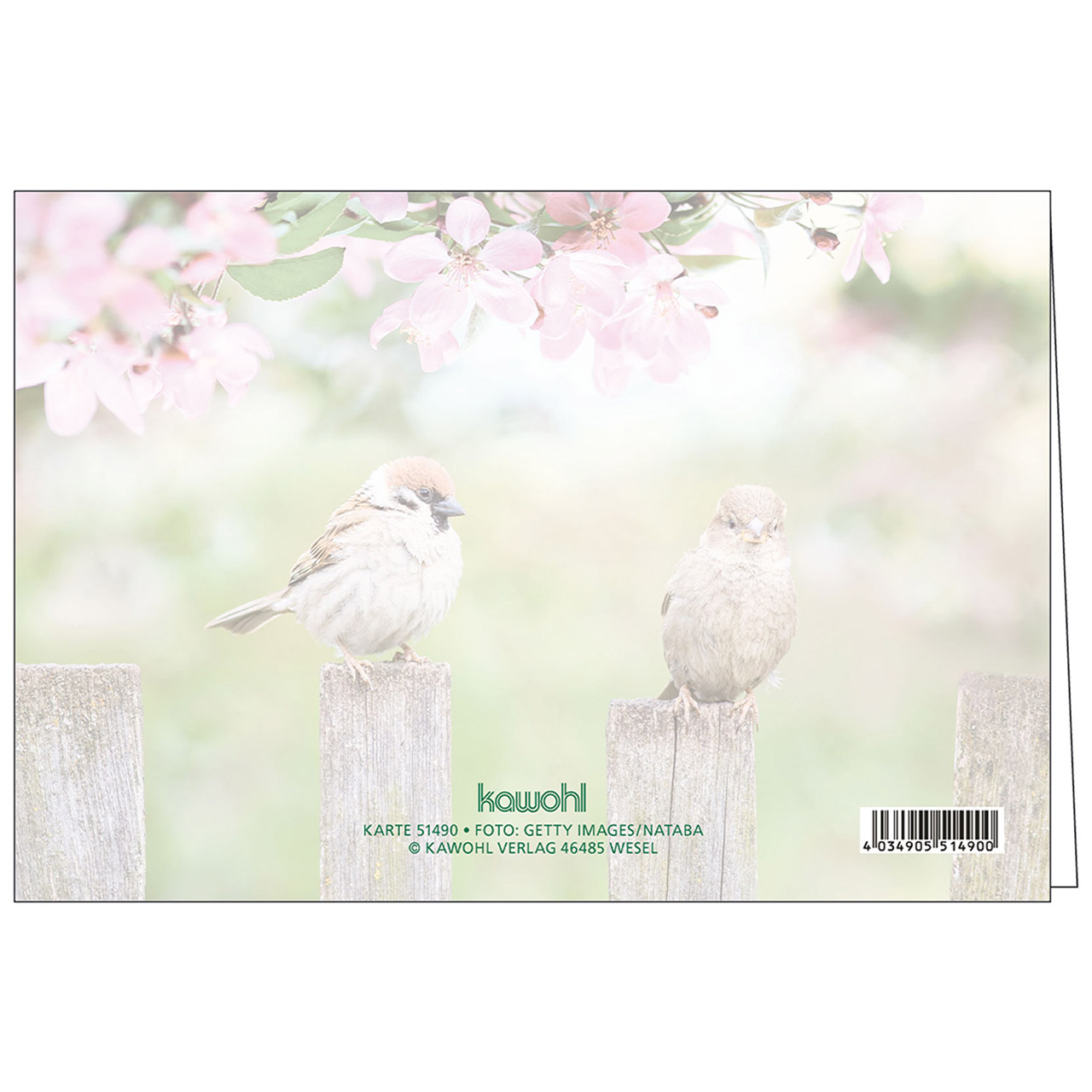 Faltkarte - Gottes Segen zum Geburtstag - Spatzen Zaun