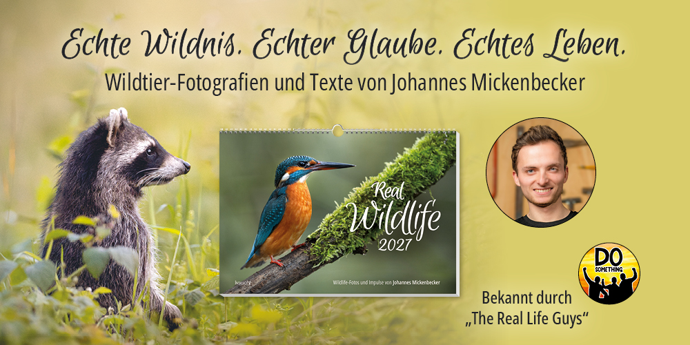 Real Wildlife-Kalender mit Waschbär und Porträt von Johannes Mickenbecker. Text: Echte Wildnis. Echter Glaube. Echtes Leben. Wildtier-Fotografien und Texte von Johannes Mickenbecker. Bekannt durch "The Real Life Guys"