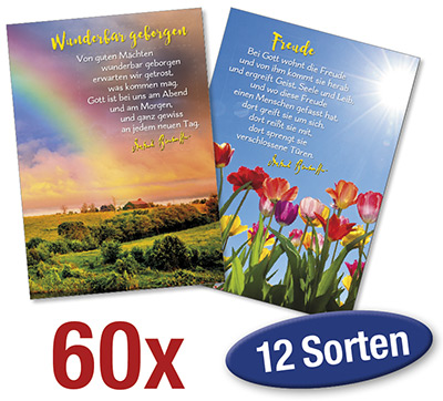 Spar-Paket: Bonhoeffer