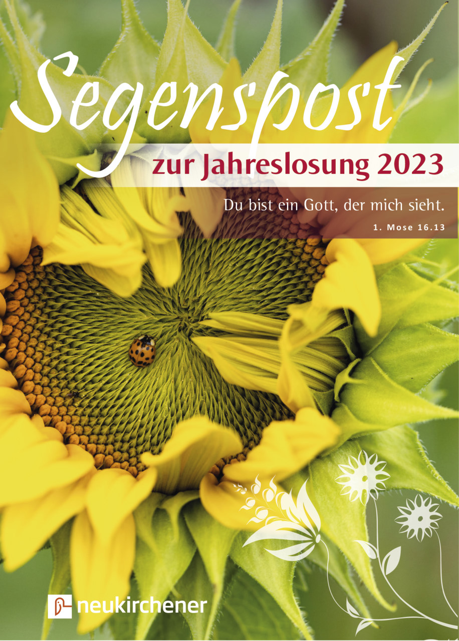 Grußheft - Segenspost zur Jahreslosung 2023 - 5er-Pack - Sonnenblume Marienkäfer