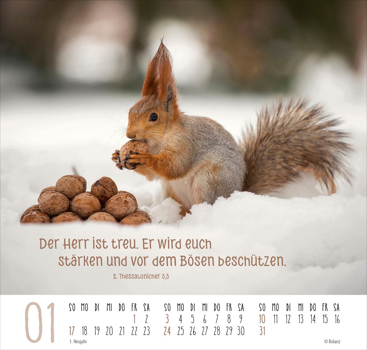 Posterkalender - Beste Freunde 2027
