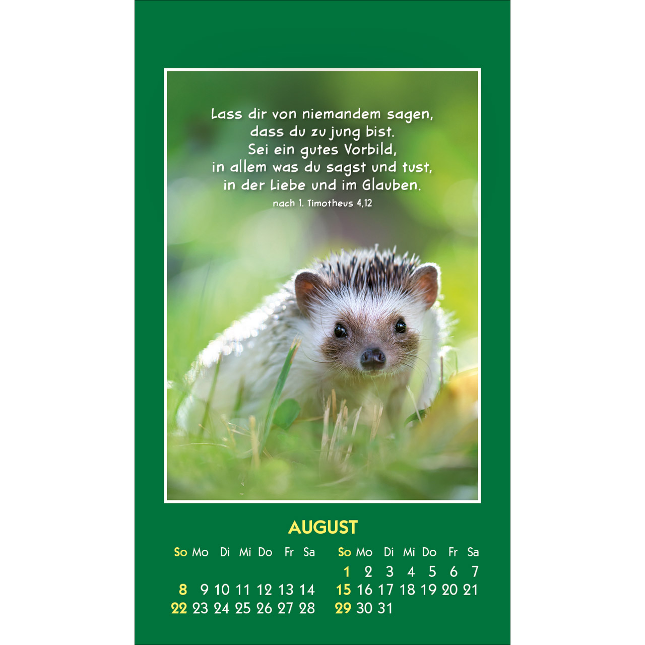 Aufkleberkalender - Hallo Du 2027