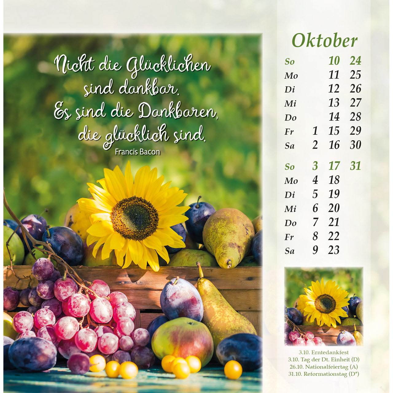 Postkartenkalender - Licht vom unerschöpften Lichte 2027