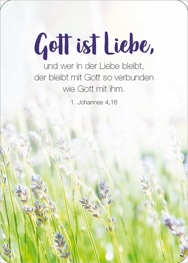 Karten-Box - Königstochter - Blechdose