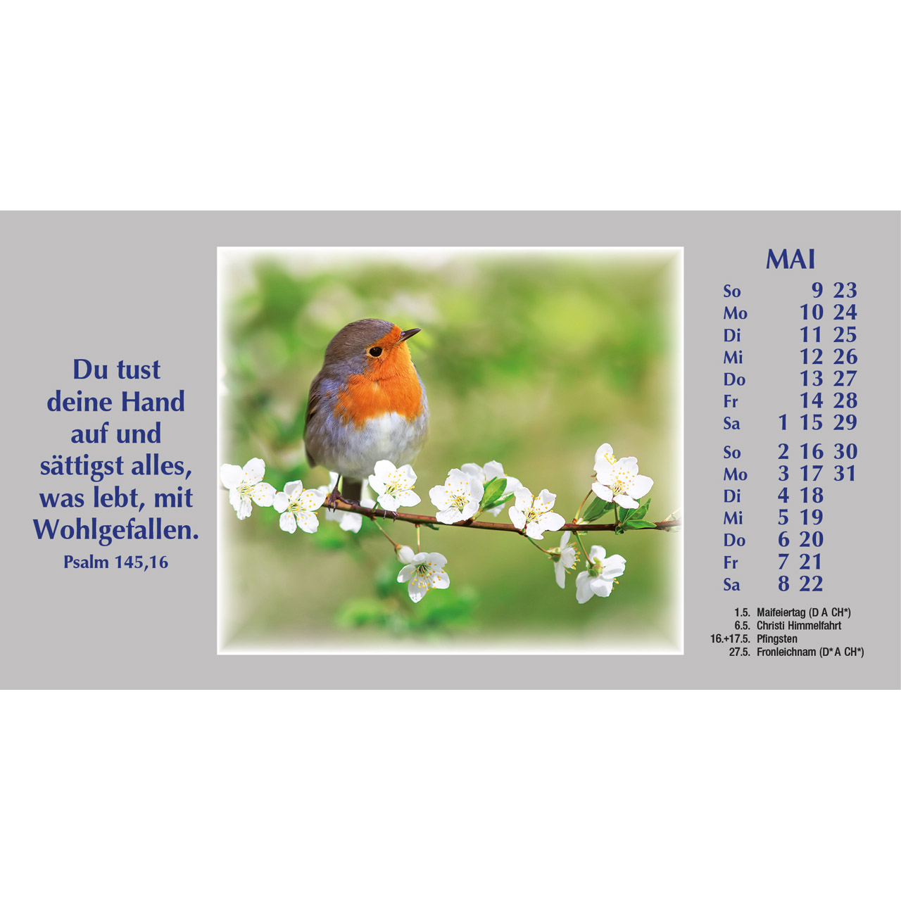 Autokalender - Wege zur Stille 2027