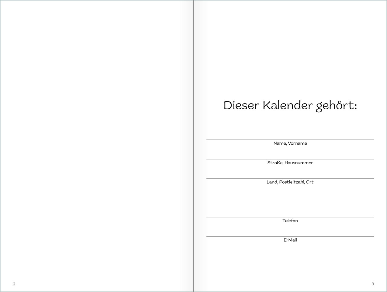 Buchkalender - Gott spricht: Siehe, ich mache alles neu! - Sprössling Trieb jung Pflanze grün Baumstamm