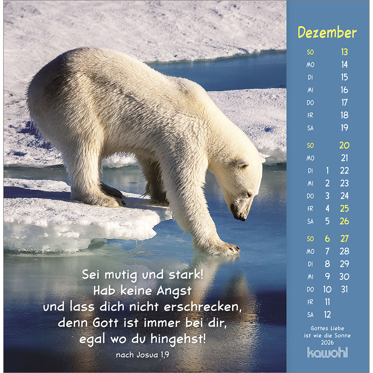 Postkartenkalender - Gottes Liebe ist wie die Sonne 2026 - Hase Kaninchen weiß