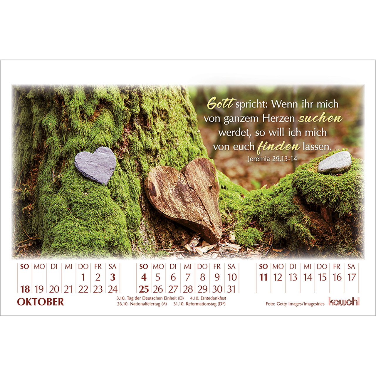 Tischkalender - In seinem Licht 2026