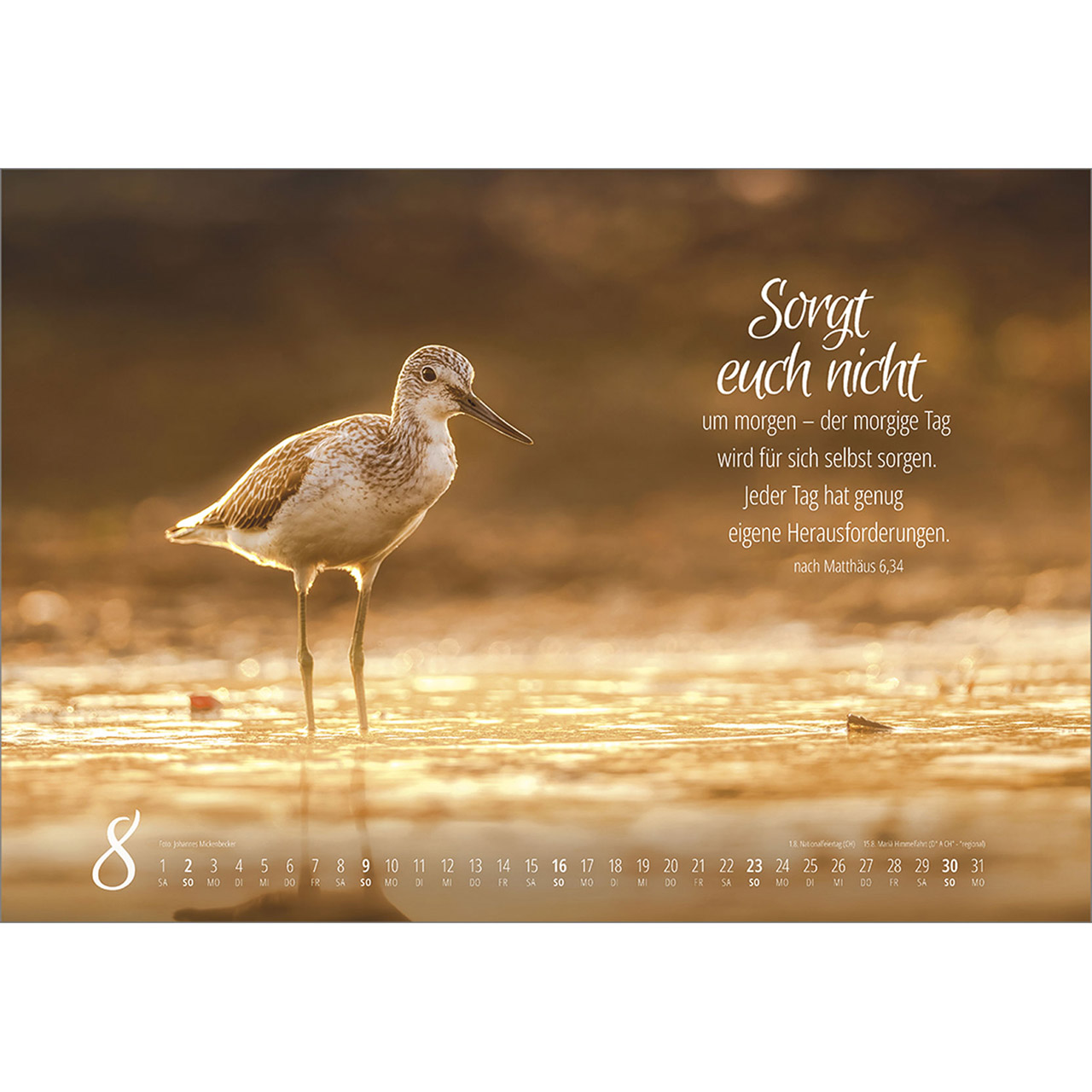 Wandkalender - Real Wildlife 2026