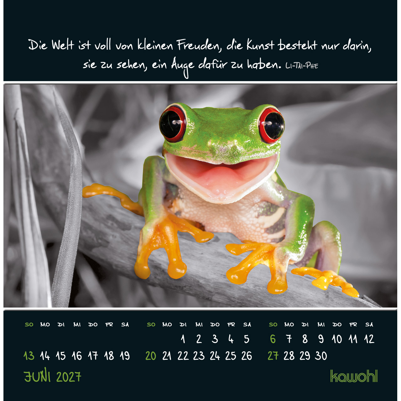 Postkartenkalender - Kleine Wunder sehen 2027