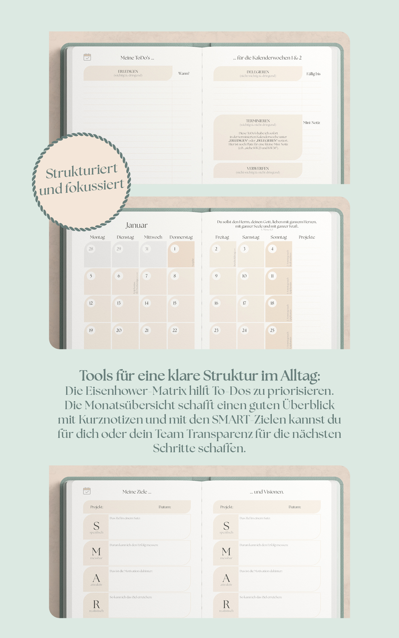 Details zum Produkt