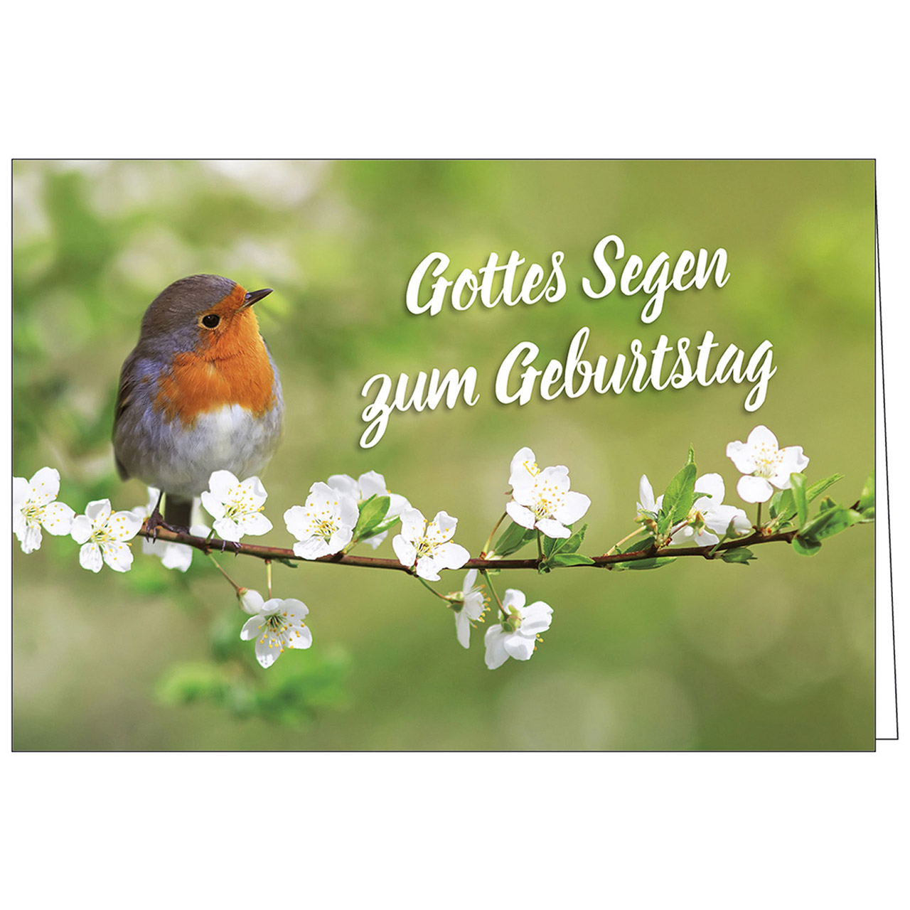 Gottes Segen zum Geburtstag